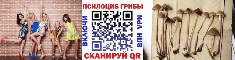 Псилоцибиновые грибы мухоморы  Ханты-Мансийск 