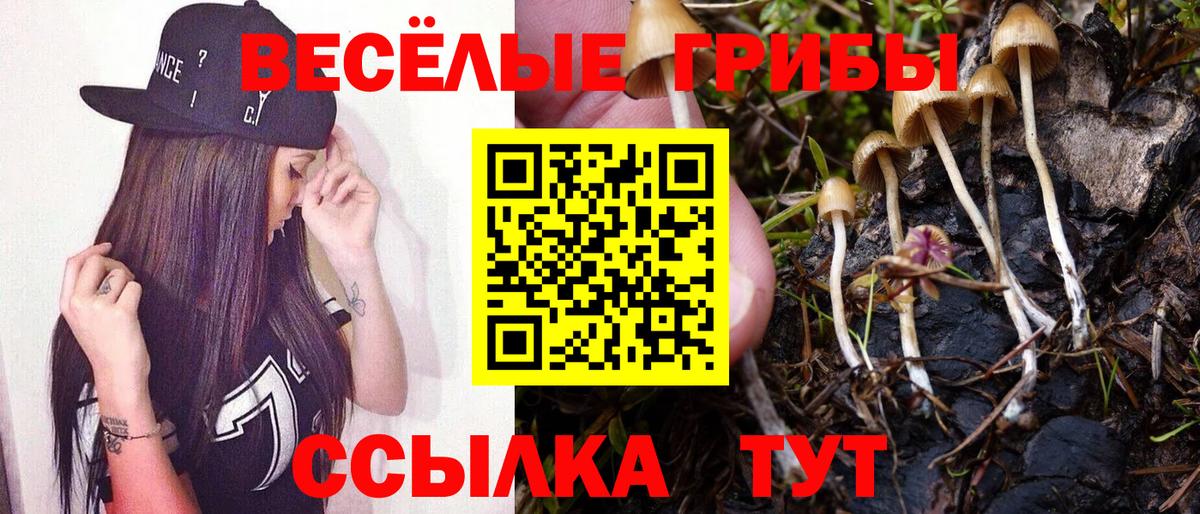 Псилоцибиновые грибы мицелий  Галлюциногенные грибы мухоморы  Вход с VPN  как найти закладки  Ханты-Мансийск 