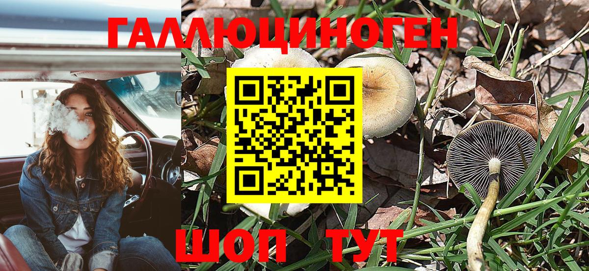 купить наркотики сайты  Ханты-Мансийск  Псилоцибиновые грибы прущие грибы  Псилоцибиновые грибы Magic Shrooms 