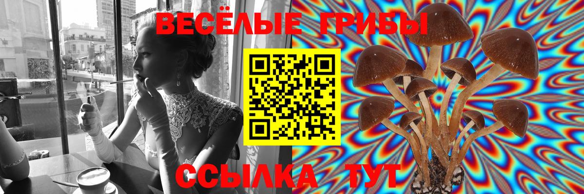 Галлюциногенные грибы Psilocybe Ханты-Мансийск