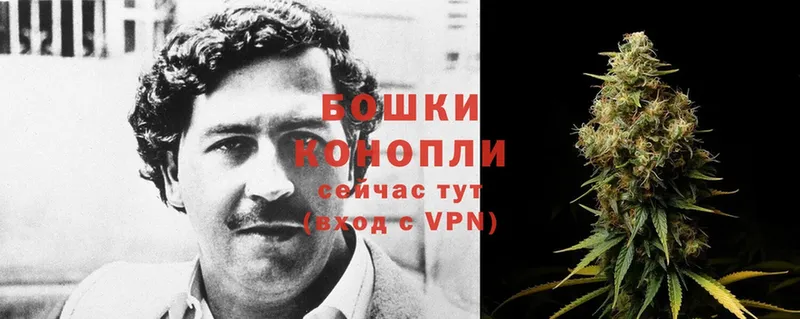 Бошки Шишки Bruce Banner  Ханты-Мансийск 